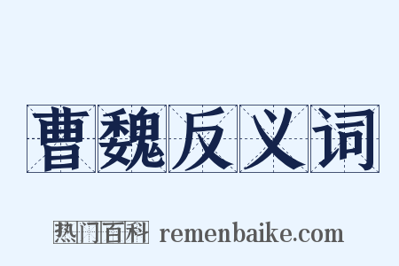 曹魏反义词是什么意思的图片